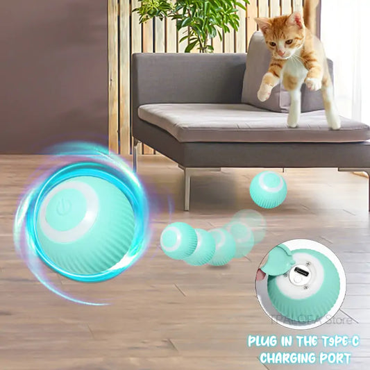 Self-moving Kitten Toy