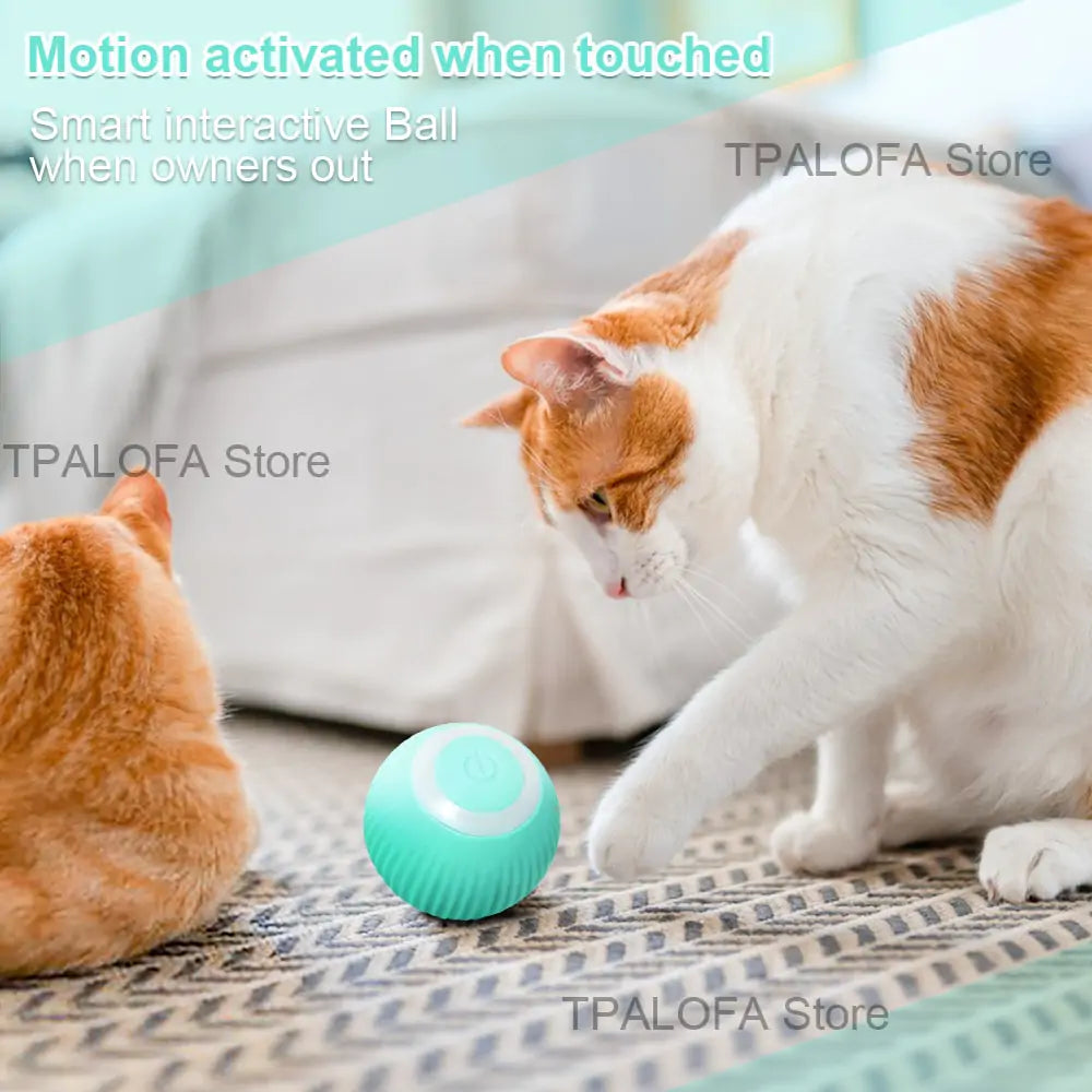 Self-moving Kitten Toy